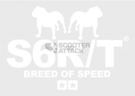 Sticker Stage6 R/T "Breed of Speed" white 91×65mm
