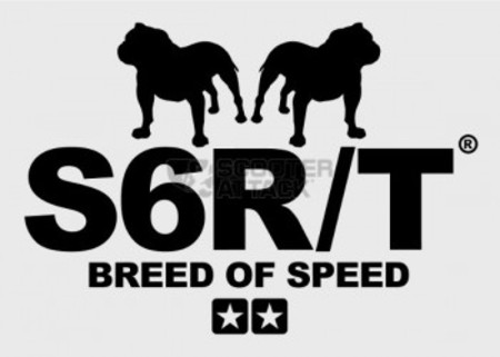 Sticker Stage6 R/T "Breed of Speed" black 91×65mm