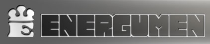 ENERGUMEN 【フロントディスクローター】245mm【シグナス6型GRYPHUS】TYPE RACE